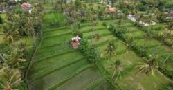 Leasehold Opportunity – Melasti