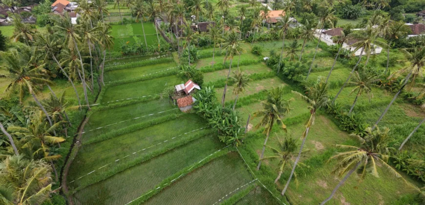 Leasehold Opportunity – Melasti
