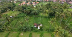Leasehold Opportunity – Melasti