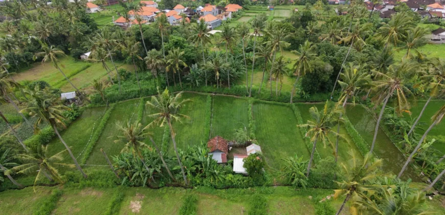Leasehold Opportunity – Melasti
